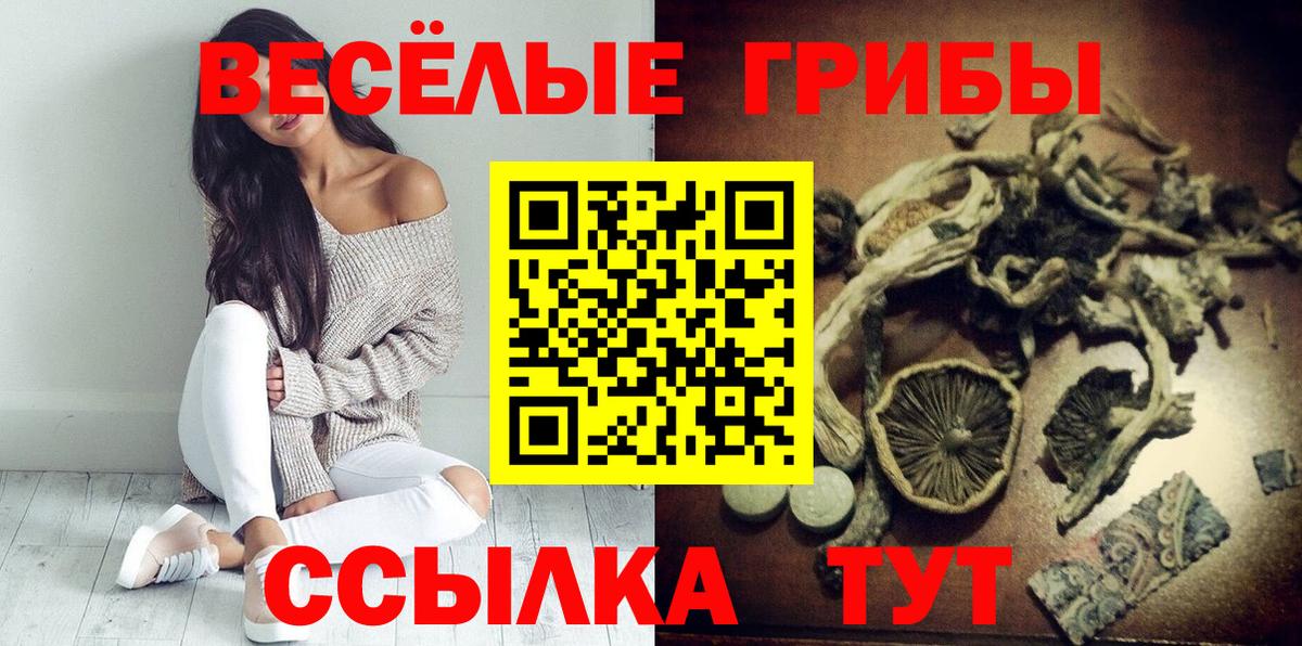 Отрадное  Псилоцибиновые грибы прущие грибы  Вход с VPN 