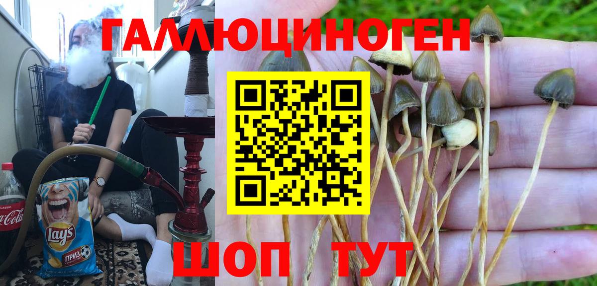 Псилоцибиновые грибы MAGIC MUSHROOMS Отрадное