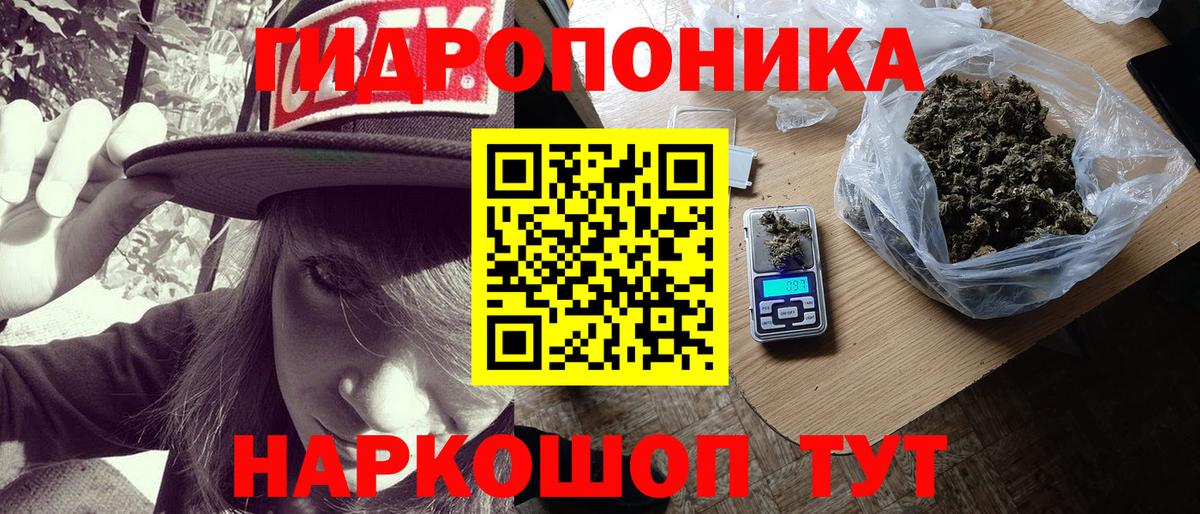Шишки марихуана планчик Отрадное